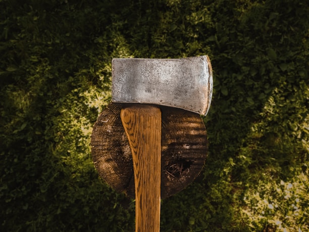 A rustic axe with a polished wooden handle displayed outdoors on a mossy stone, capturing its rugged charm.