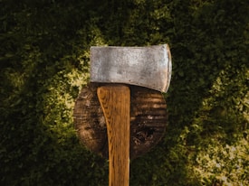 A metal axe with a wooden handle is embedded in a wooden stump, surrounded by green grass. The texture of the axe head is worn and the wood has a natural, aged look.