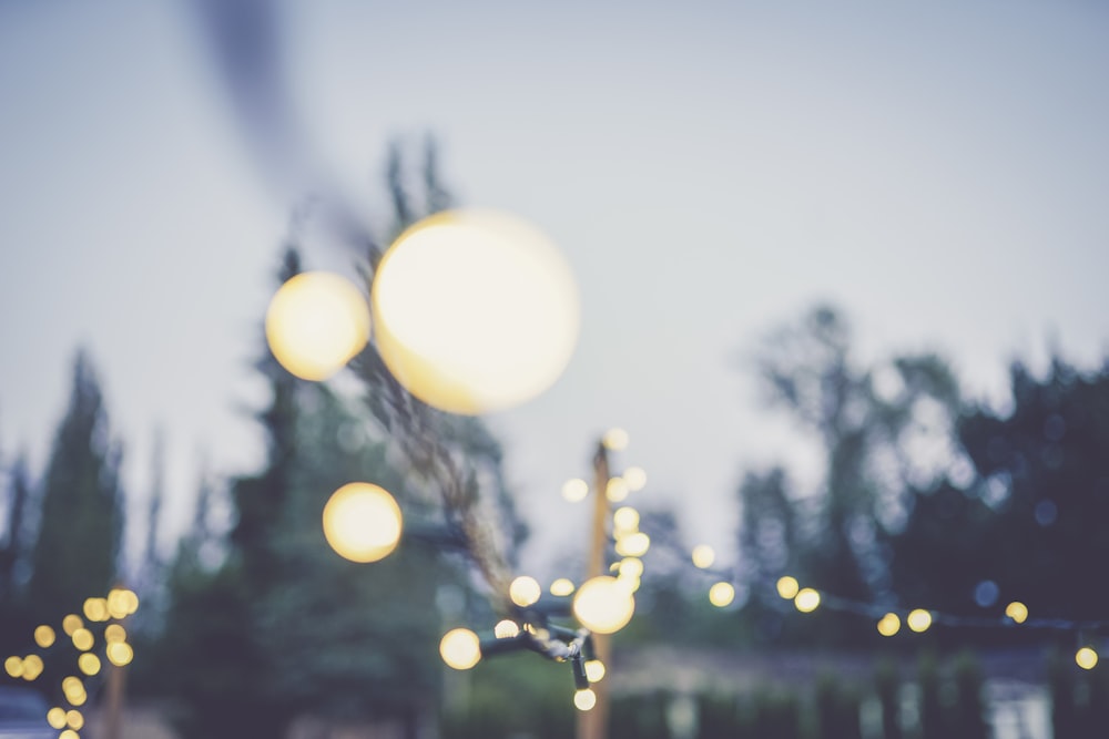 Guirlandes lumineuses blanches