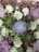 An assortment of succulents arranged closely together, featuring a variety of shapes and colors ranging from soft greens to purples. The succulents display intricate leaf patterns and textures, with some having a rosette shape.
