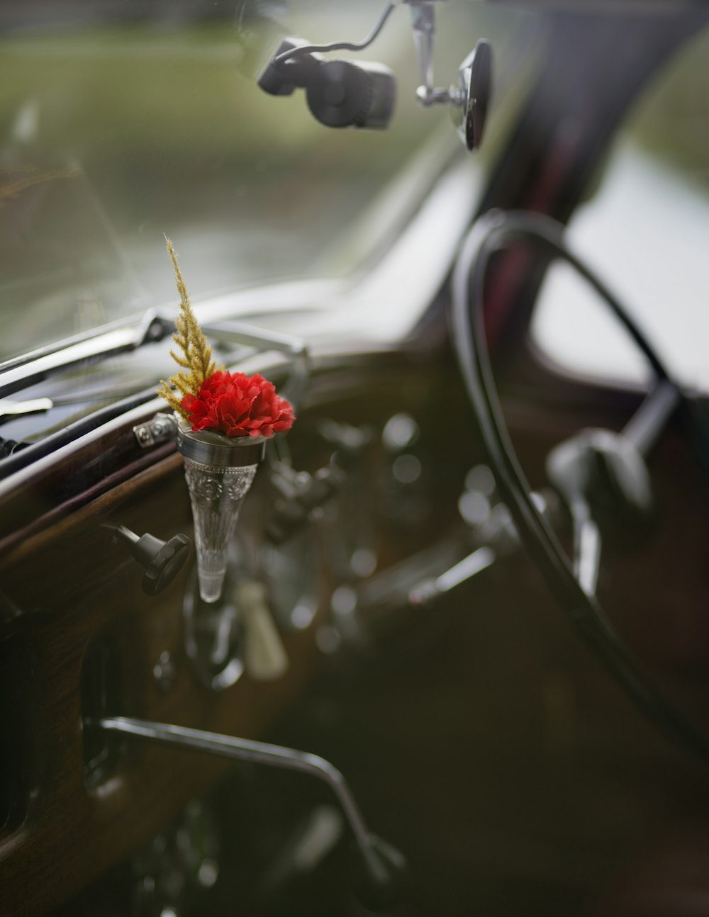 focus photo of flower inside vehicle