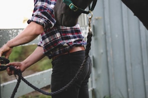 A person in a plaid shirt is holding a black rope attached to the head of a horse. The scene takes place outdoors near a fence, with a casual and relaxed atmosphere.