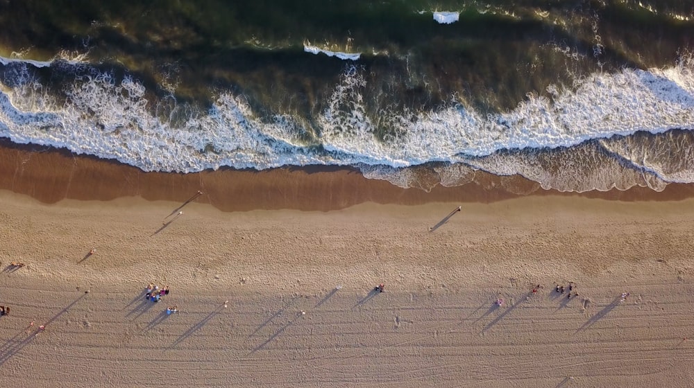 aerial photography of sea