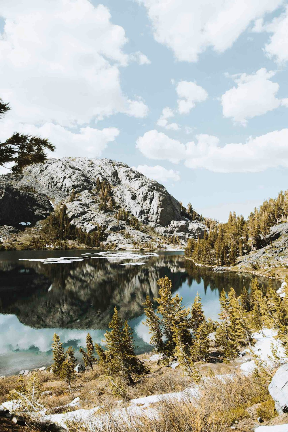 grey rocky mountain near brown leaf plants