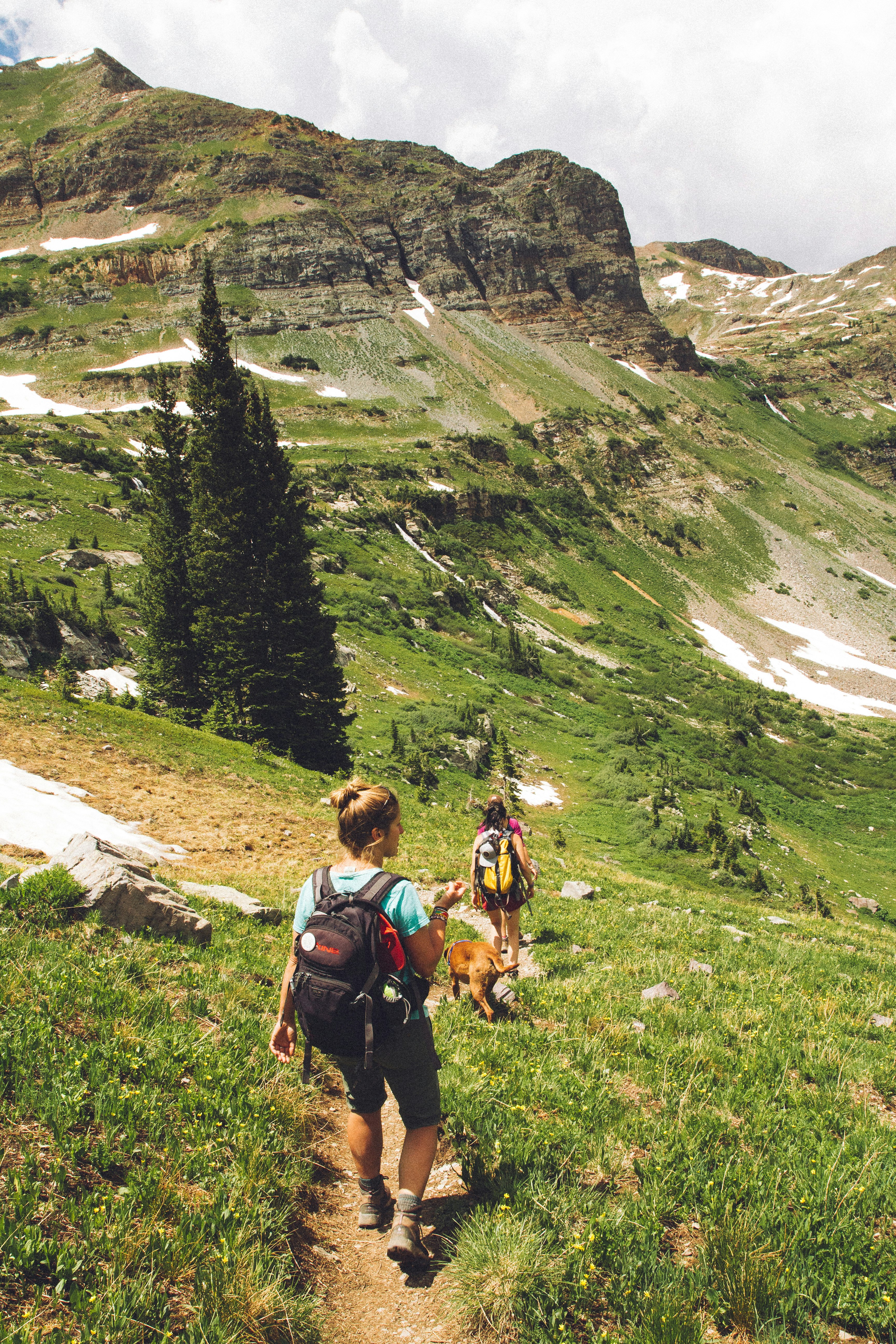 Essential Trekking Gear Reviews