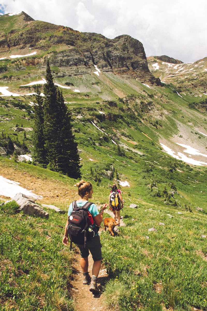 Hiking Backpack