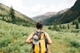 person carrying yellow and black backpack walking between green plants