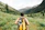 person carrying yellow and black backpack walking between green plants
