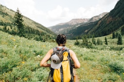 person carrying yellow and black backpack walking between green plants