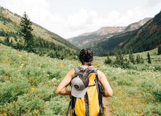 person carrying yellow and black backpack walking between green plants