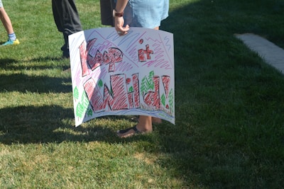A person is holding a handmade sign with colorful text saying 'Keep it Wild!' on a grassy area. The sign includes drawings of trees and zigzag patterns in various colors.