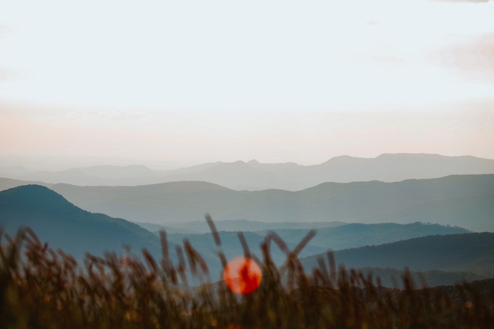 foggy mountains