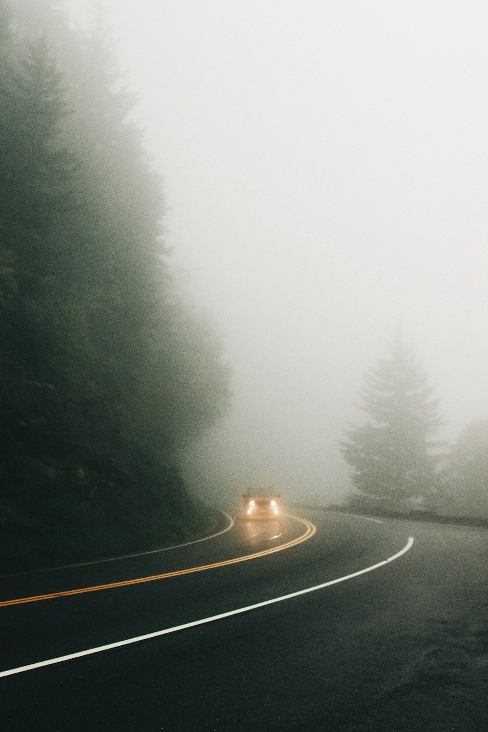 car road road near trees