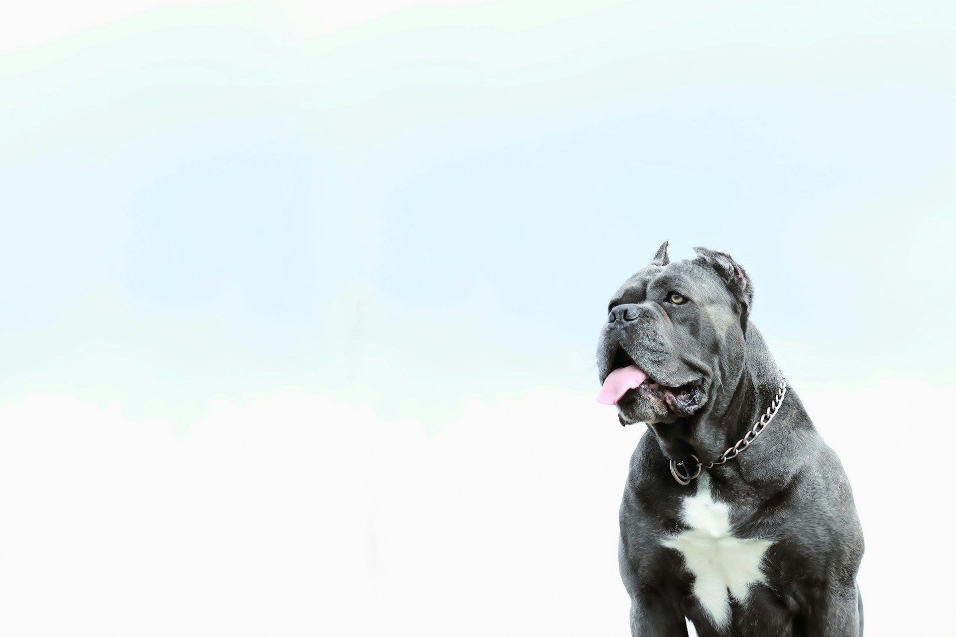 person wearing grey knit sweater