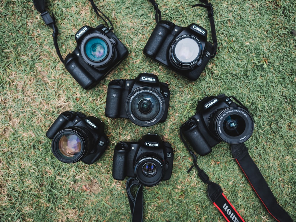 緑の芝生に6台の黒いキヤノンデジタル一眼レフカメラ