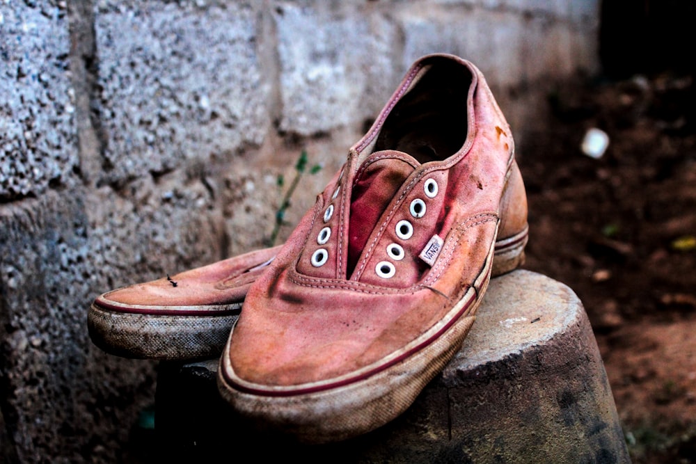 foto a fuoco selettiva di un paio di scarpe da ginnastica basse Vans rosa sulla parte superiore di un blocco di cemento grigio