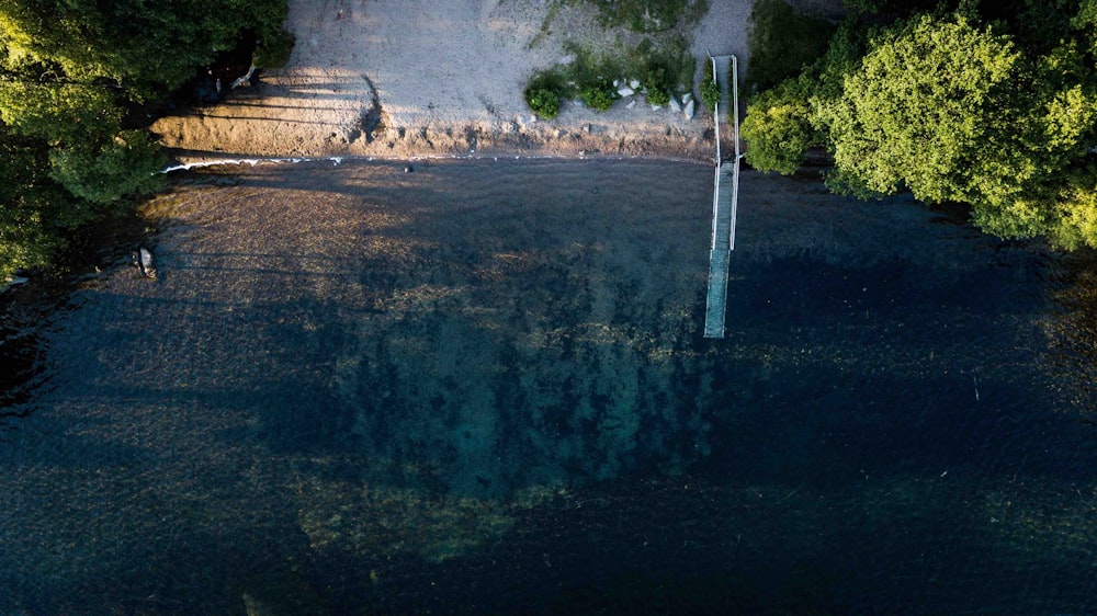 aerial photo of gray wooden dock on body of water near green trees