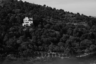 Spacious plot of land surrounded by greenery and hills near Ixtapa.