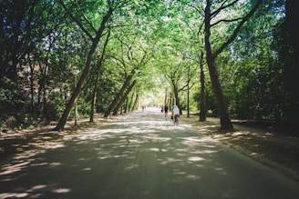 people at the park