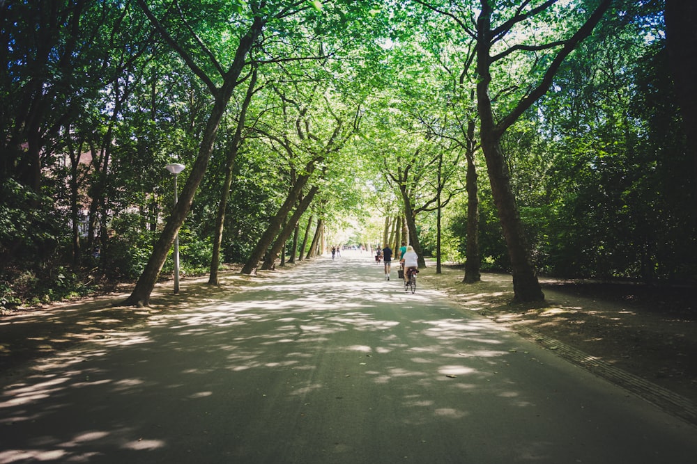 Pessoas no parque