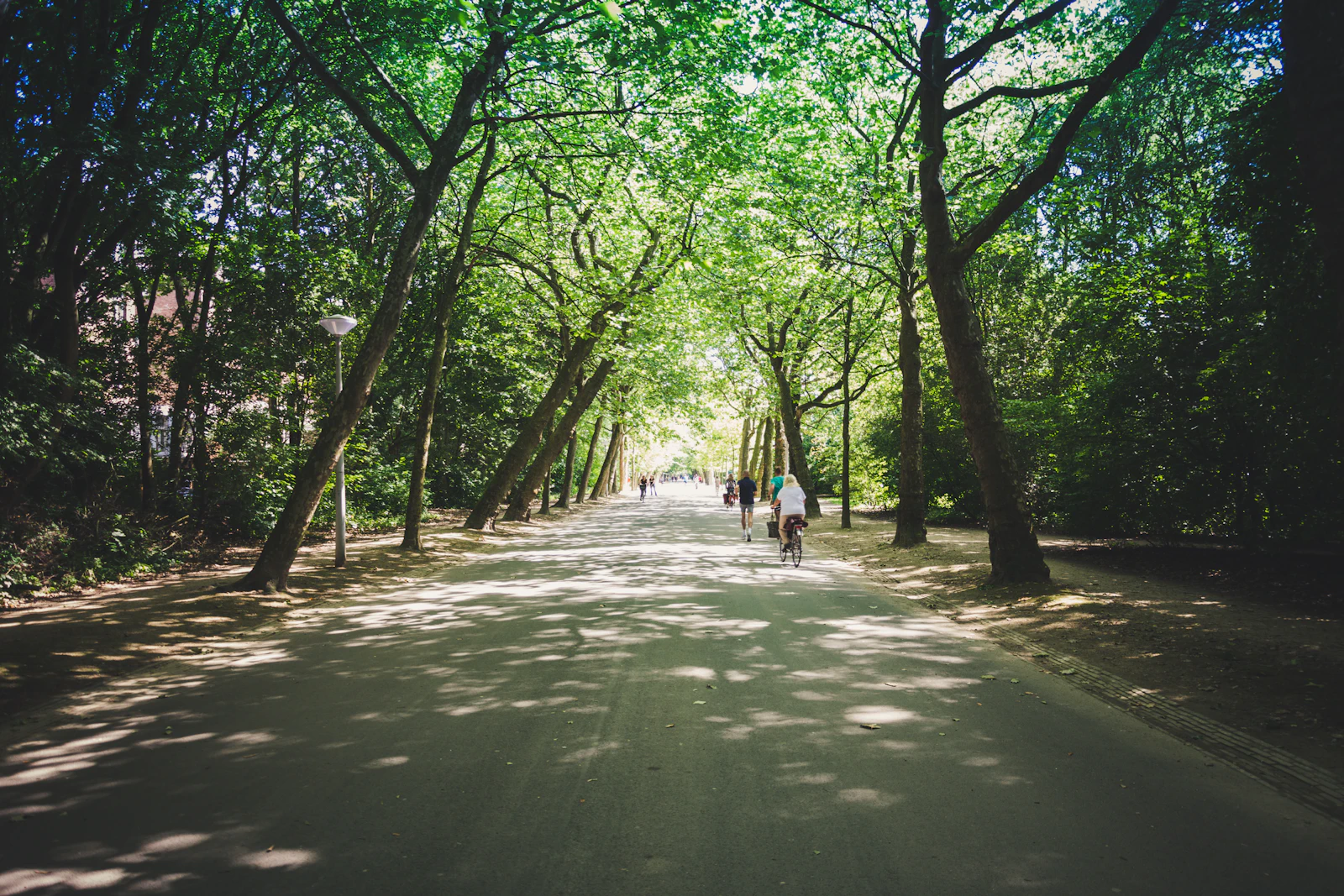 Amsterdam neighborhood park for small hobby communities in Amsterdam