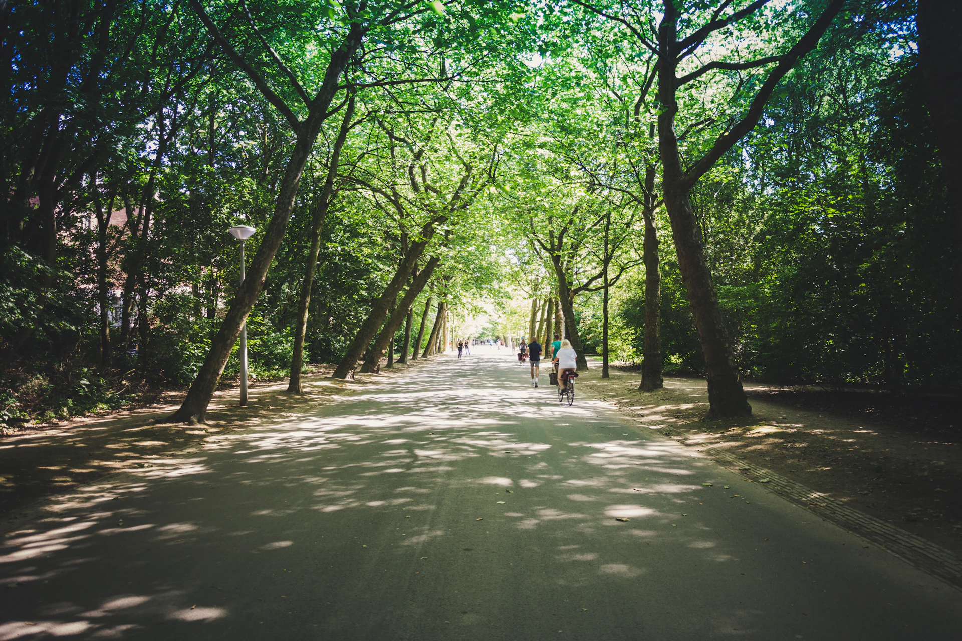 People using a tree-lined path in Vondelpark, Amsterdam
