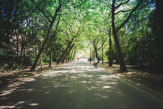 photo of Vondelpark Forest near Utrecht