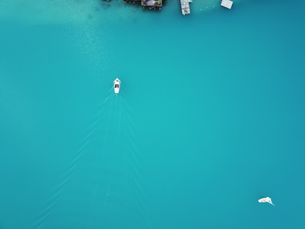 aerial photography of white boat on body of water at daytime