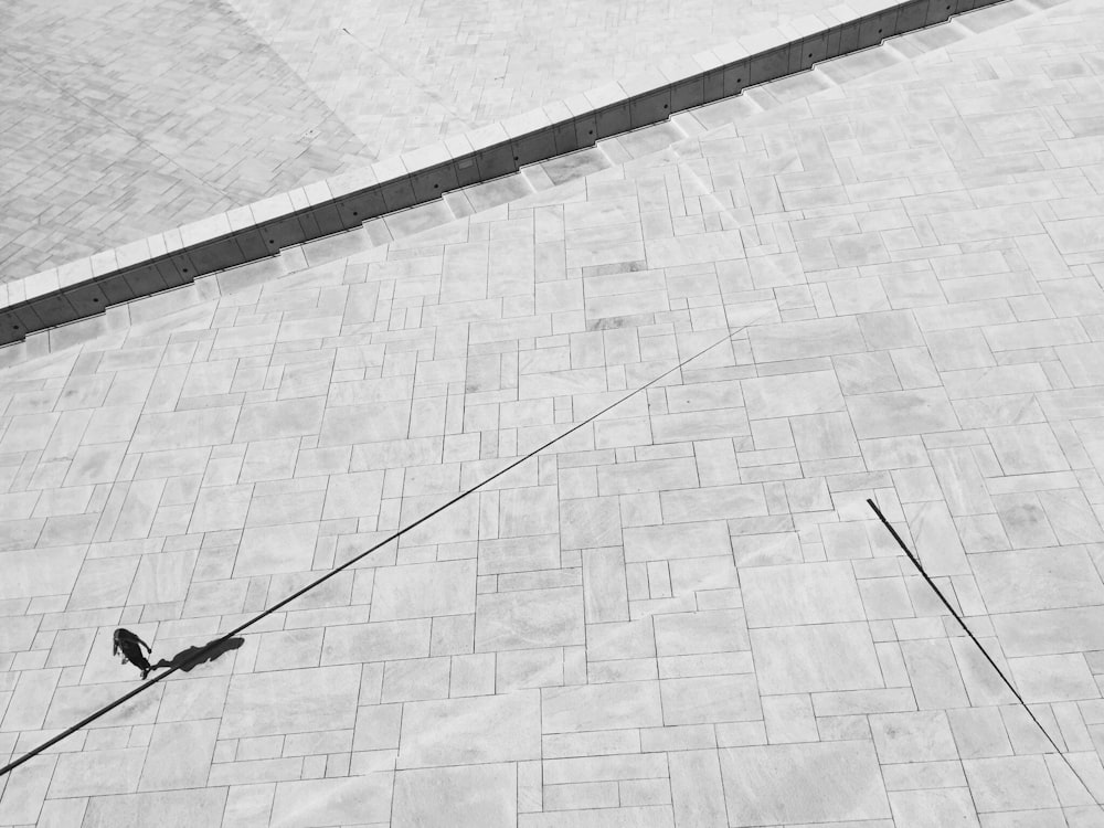 person walking on gray concrete pavement