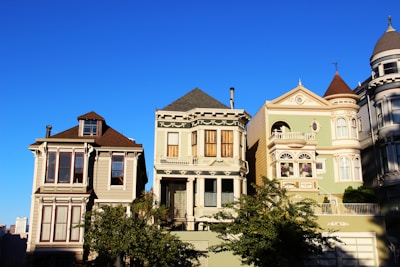 brown and green high-rise building beside tree