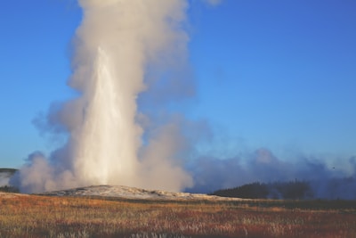 A powerful geyser erupts, sending a towering column of steam and water high into the sky against a clear blue backdrop. Surrounding the geyser is a landscape of grassy plains and distant trees partially obscured by the rising steam.