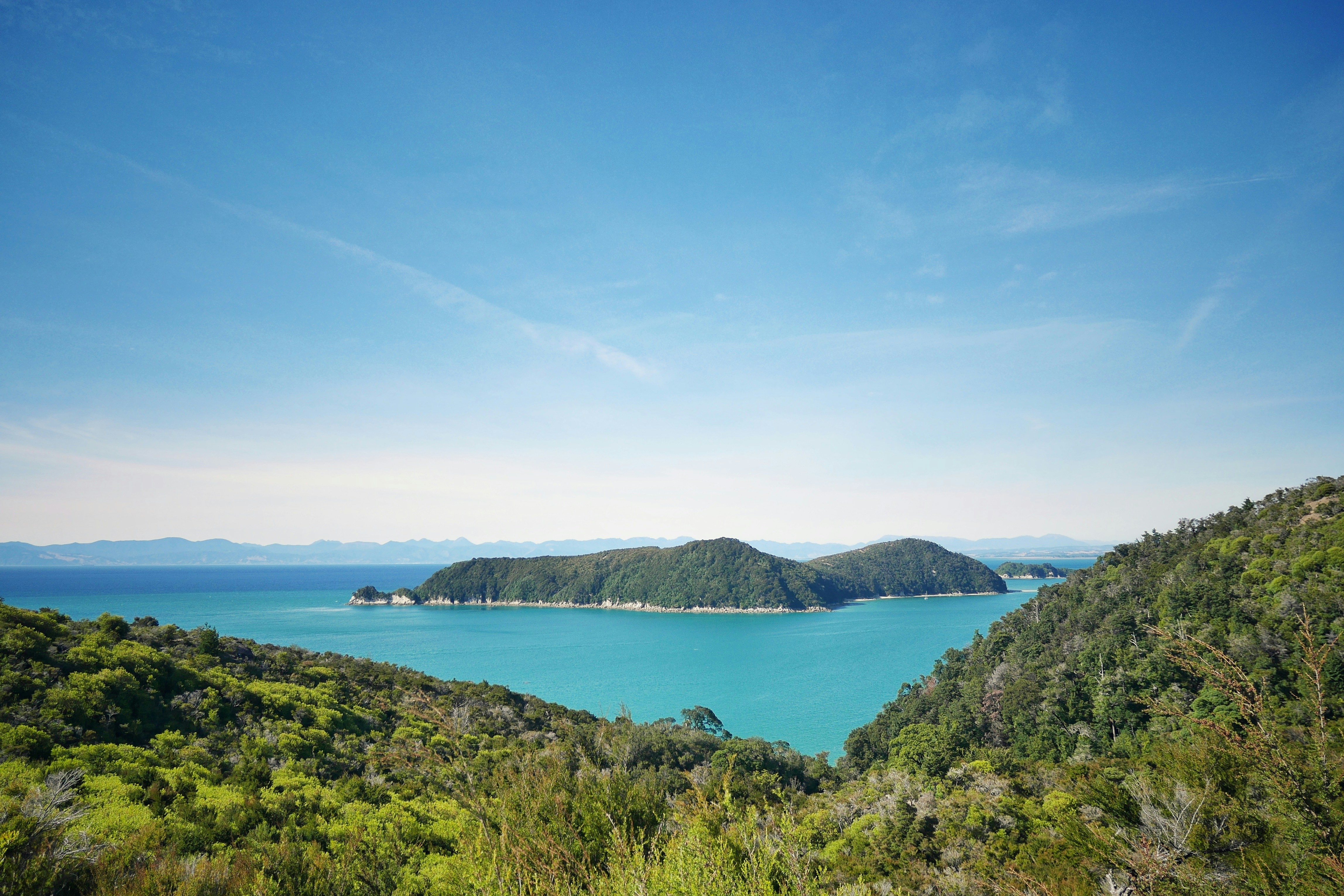 Buchten und Wald im Abel Tasman National Park auf Neuseelands Südinsel