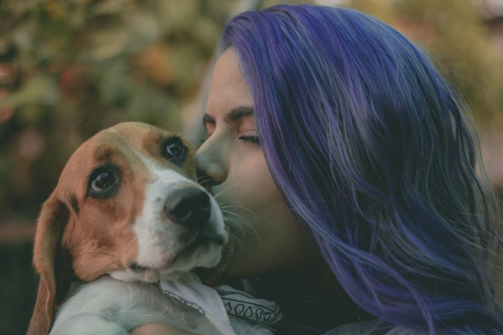 The Shocking Truth About Pet Mental Health!