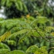 macro shot photography of tree during daytime while raining