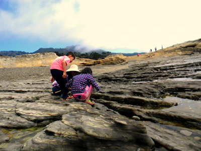 Children learning about marine life during an outdoor educational workshop by the beach.