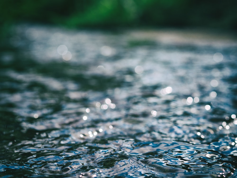 body of water in macro shot