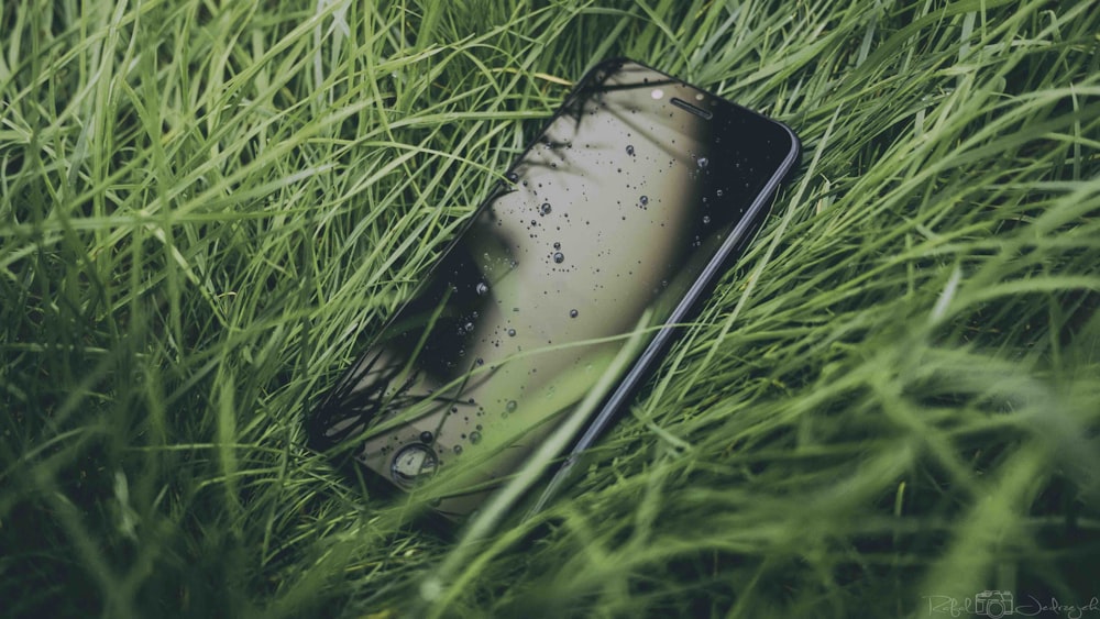 芝生の上のiPhone