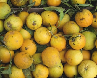 bunch of yellow fruits