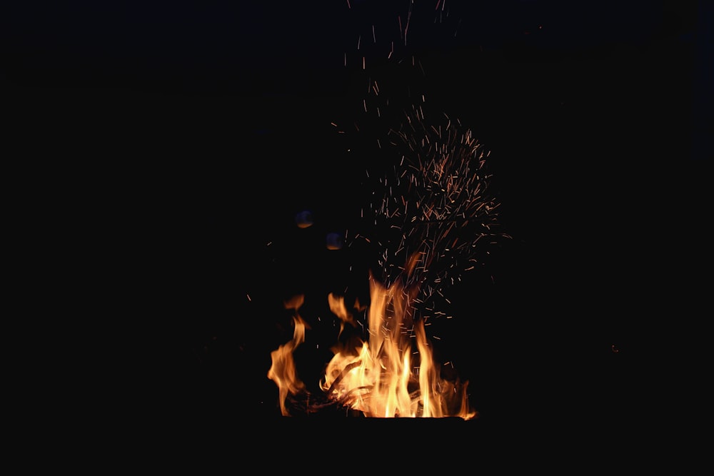 bonfire