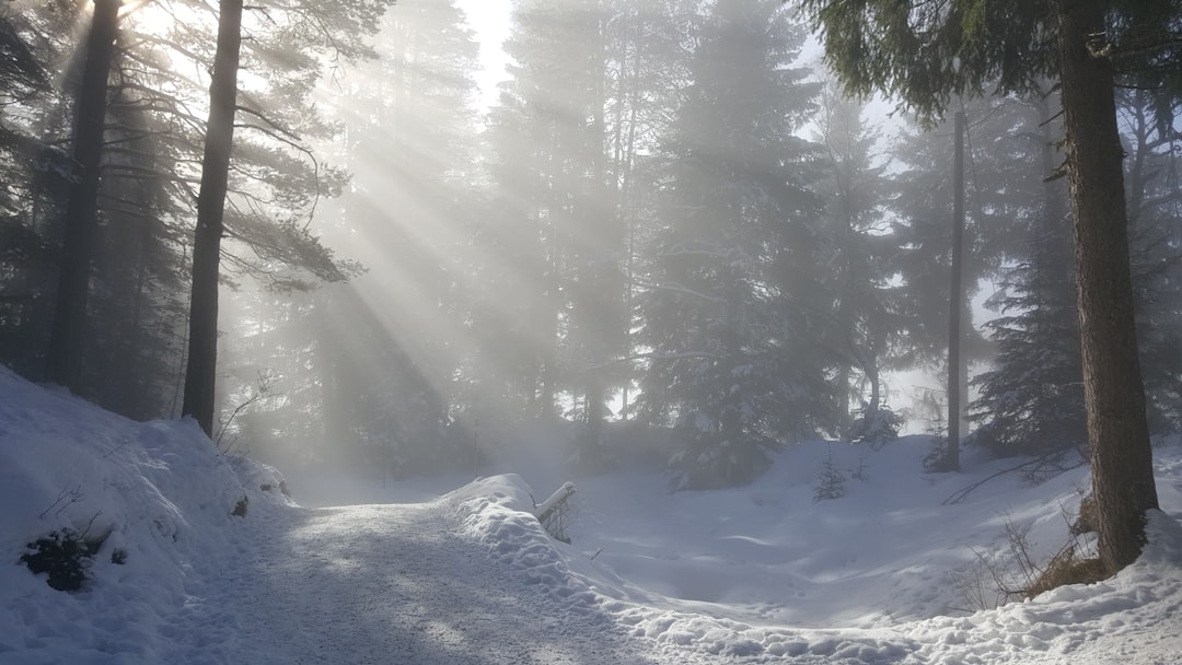 Natural landscape photo spot Seefeld Tyrol