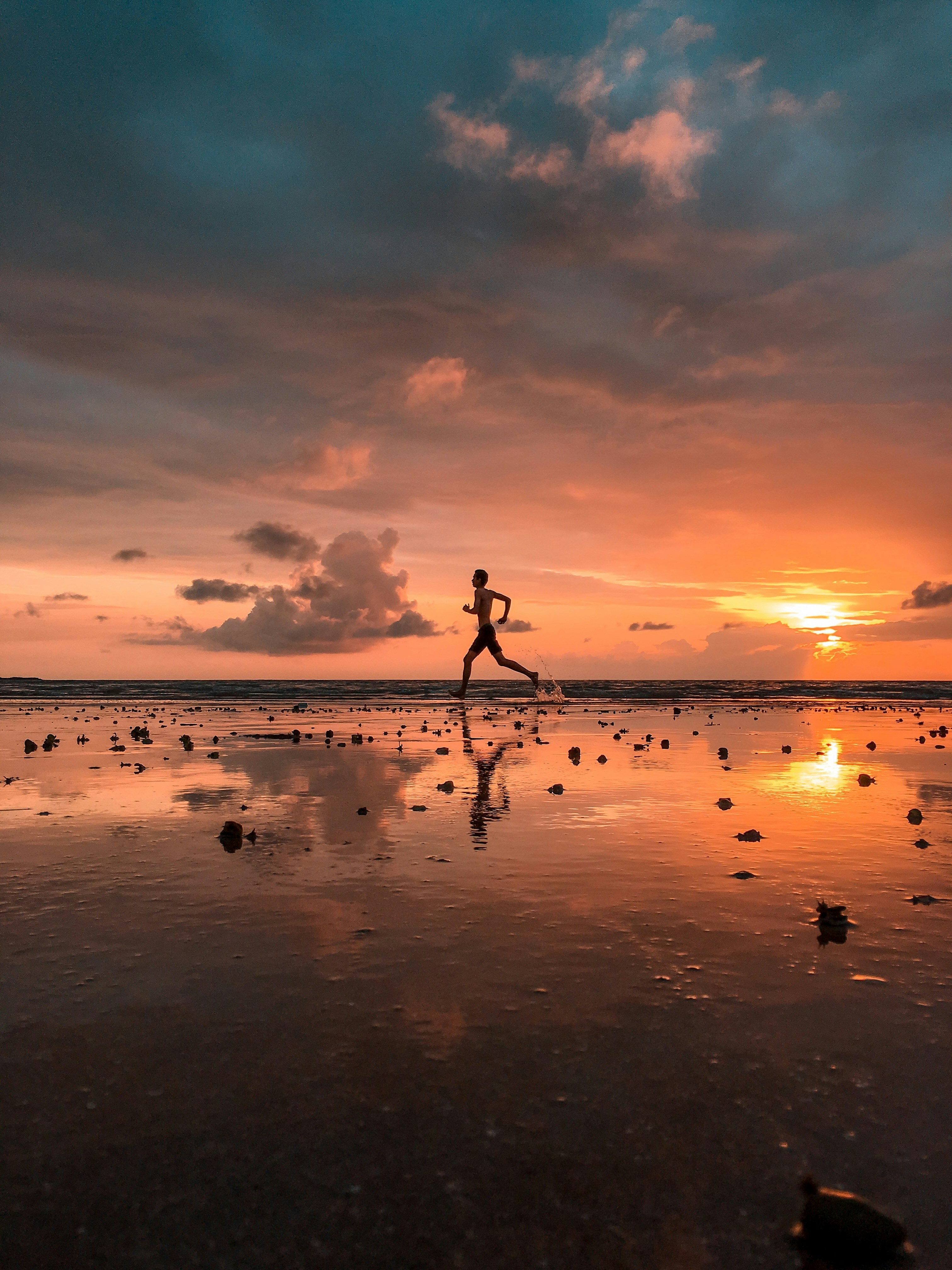 🏁 Fitness Goal 2017 Achieved!