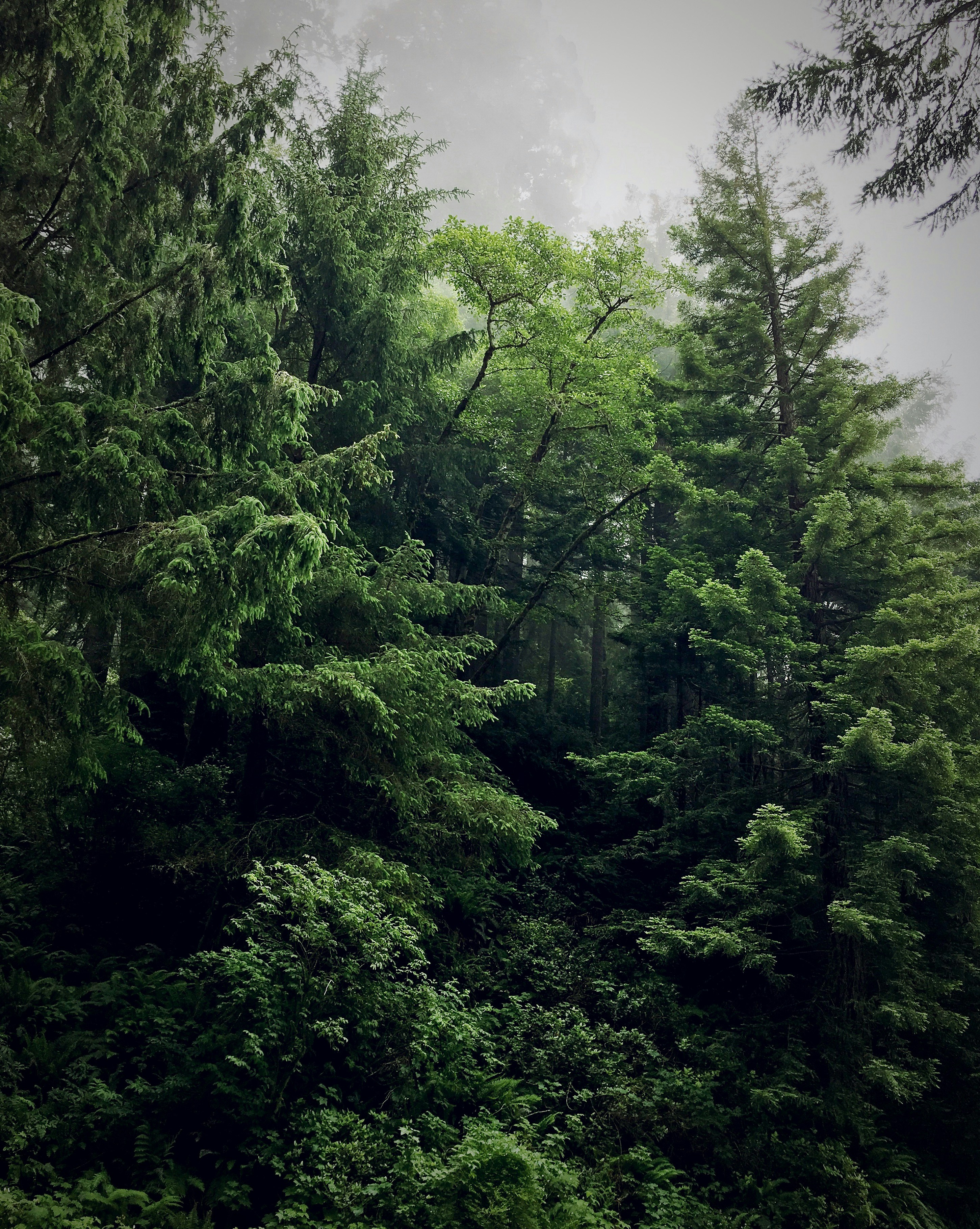 Casas A Orillas del Lago, desconexión con amigos a 1 hora de Madrid