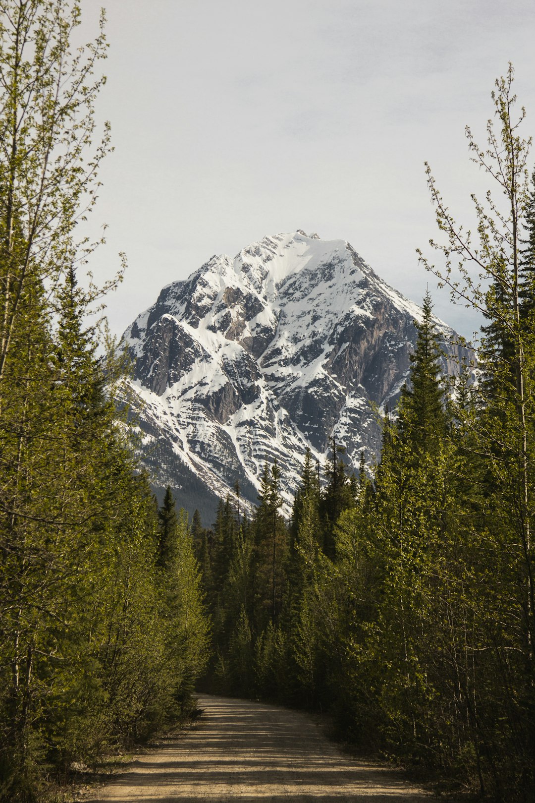 Mountain range photo spot Athabasca Falls Canada