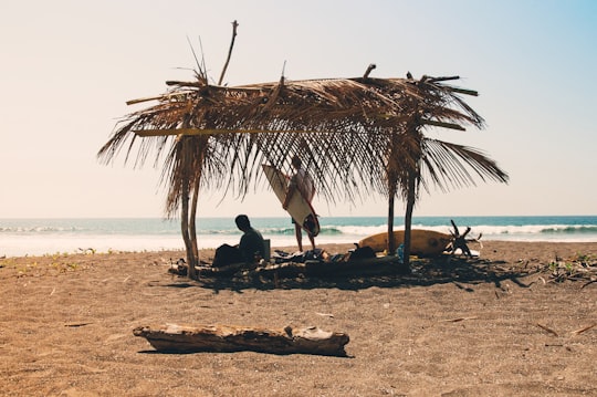 man reclining under hut on seashore in Guanacaste Province Costa Rica