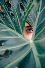woman peeking over green leaf plant taken at daytime