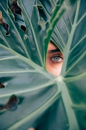 woman peeking over green leaf plant taken at daytime