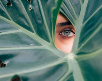 woman peeking over green leaf plant taken at daytime