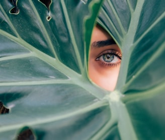 woman peeking over green leaf plant taken at daytime