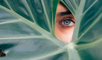 woman peeking over green leaf plant taken at daytime