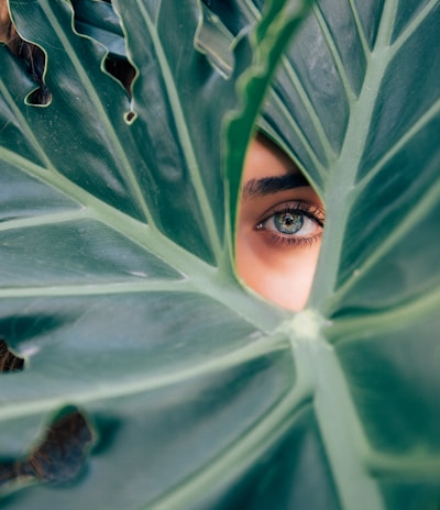 woman peeking over green leaf plant taken at daytime